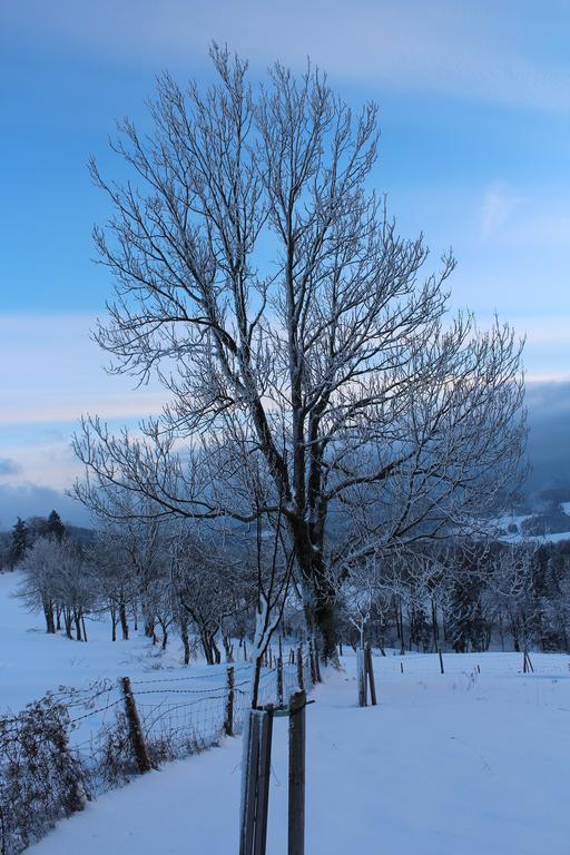 Вилла Hirmhof Reinsberg Экстерьер фото